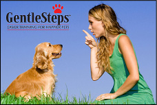 GentleSteps Training