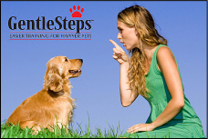 GentleSteps Training